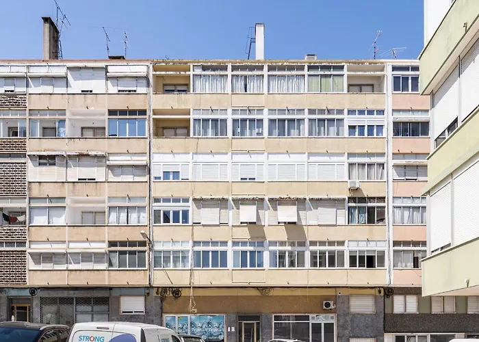 Akicity Alameda Yellow 리스본